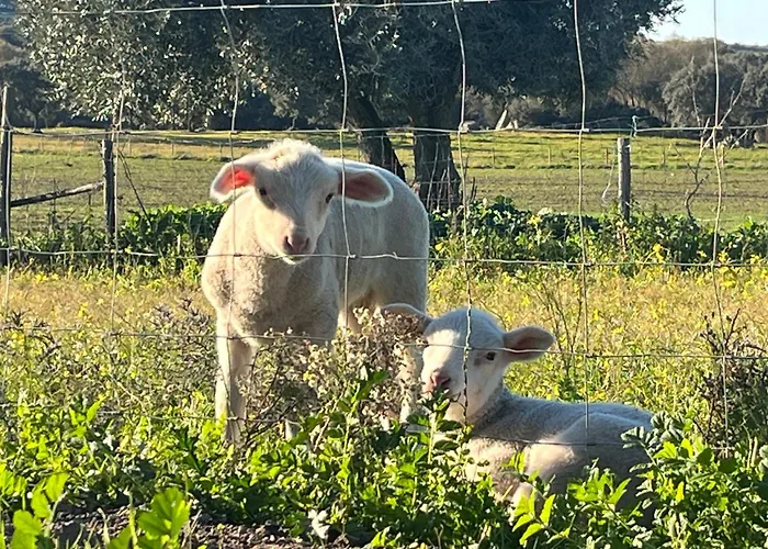 Monte De Sao Francisco 农家乐 *
